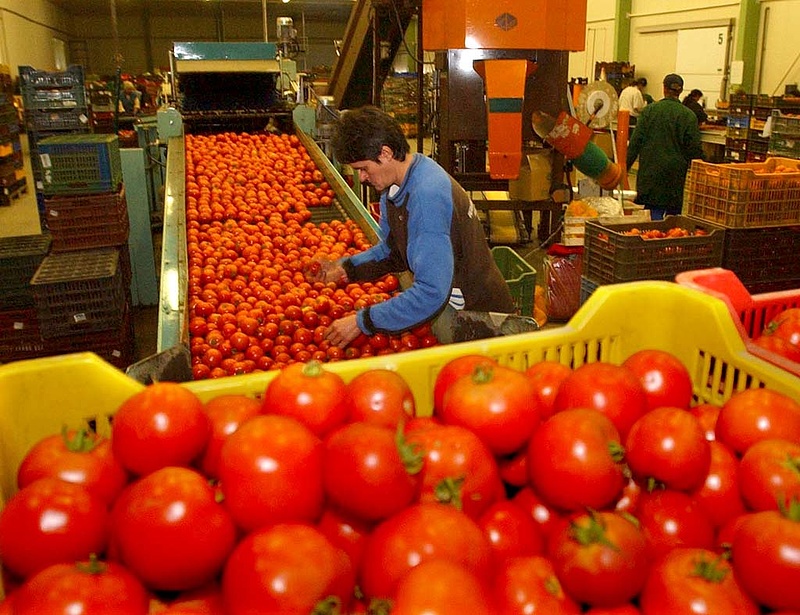 Oroszország megtilthatja a lengyel zöldség- és gyümölcsexportot