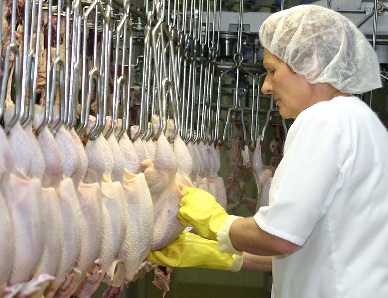 Erősít a húsipari cég, új munkahelyeket teremt