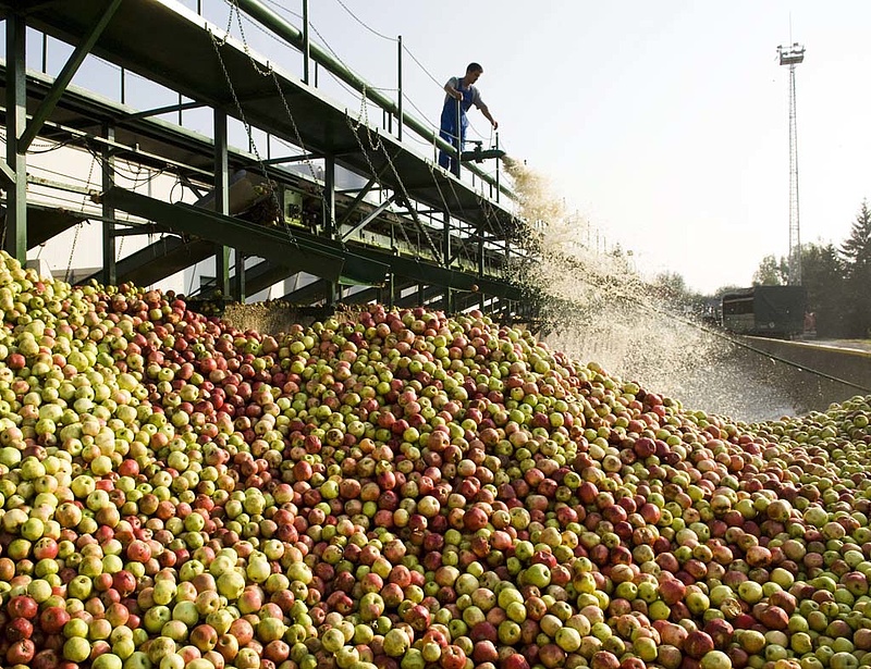 Éles kritika a kormánynak az almatermelőktől