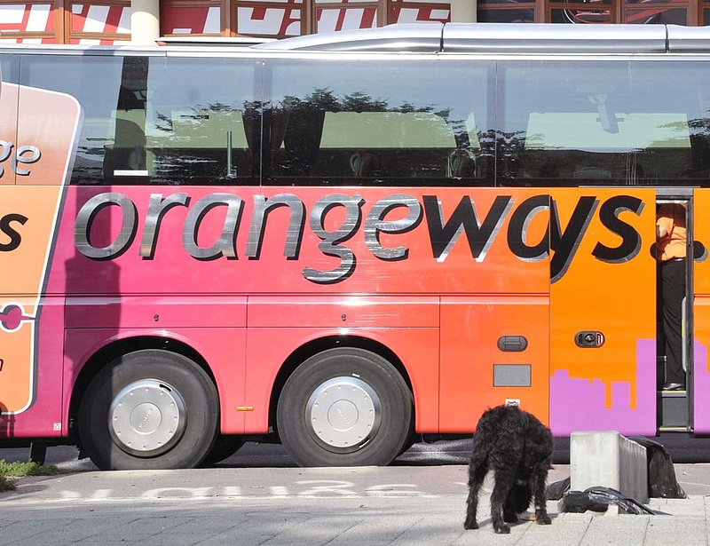 Dagad a botrány, tüntetnek az Orangeways-sofőrök