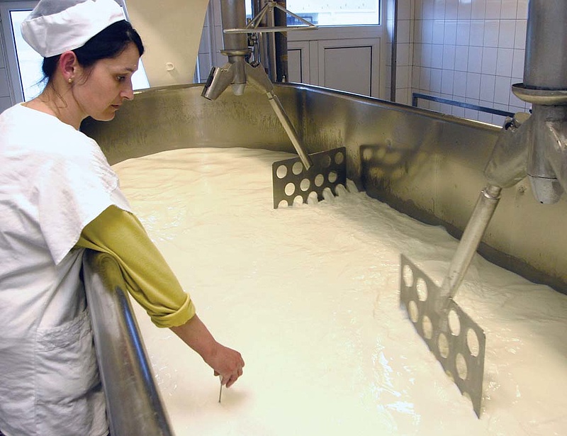 Szennyezett tej kerülhetett a Danone joghurtjaiba