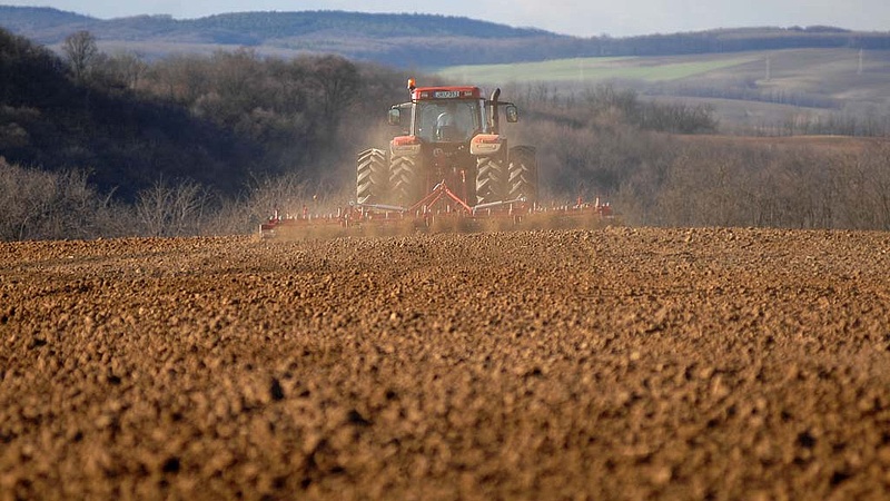 Egyre kevesebb földterületet vetnek be a gazdák