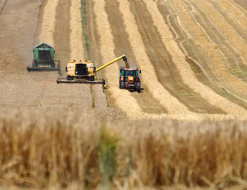 A mezőgazdaság a magyar GDP 3,1 százalékát adja