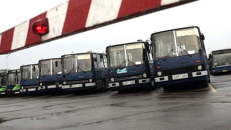 Lengyel buszokat vesz a BKV tízmilliárdért