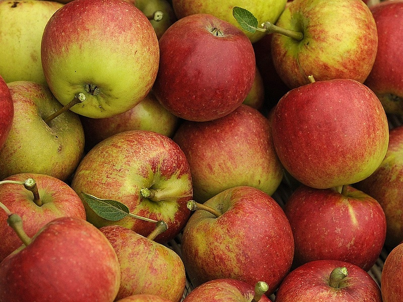 Már a magyar almát is hamisítják