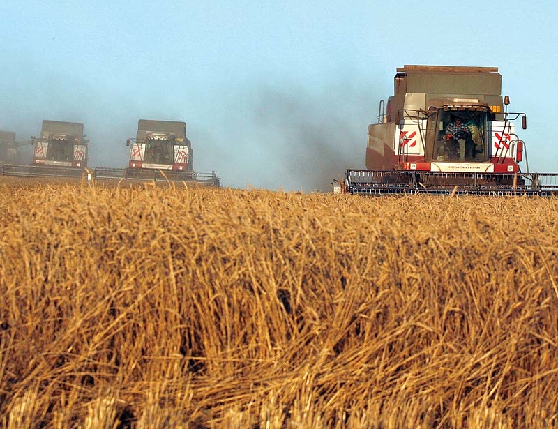 Bűncselekmény lesz a GMO Oroszországban