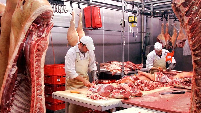 Saját húsfeldolgozót épít a hajdúböszörményi önkormányzat