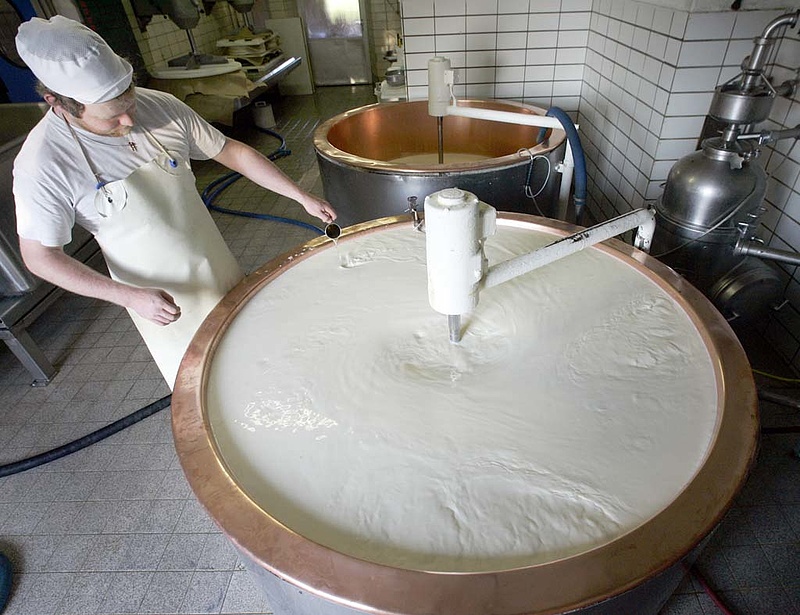 Új piacok felé nyit a legnagyobb magyar sajtgyártó