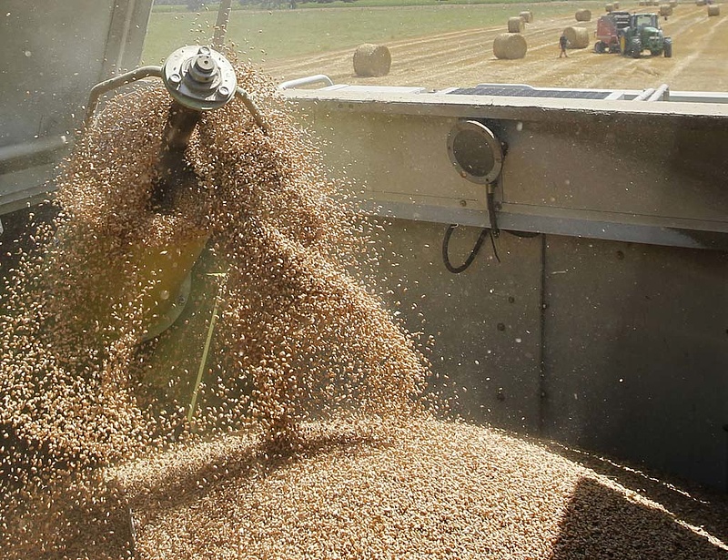 Drágulás jöhet - kevesebb lehet az orosz gabonaexport