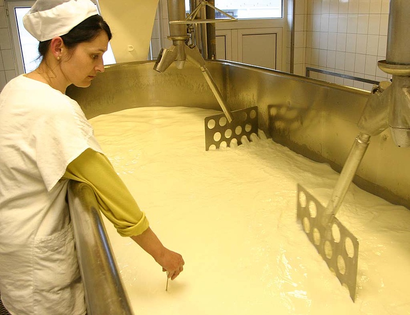A magyar tejszektor nem akar a cukoripar sorsára jutni
