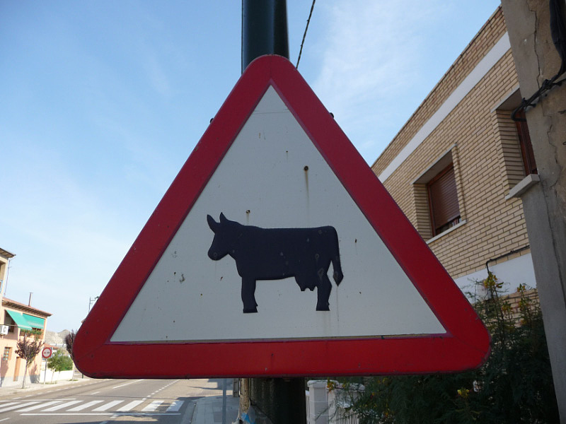 Letörheti-e a tapír a spanyol bika szarvát?