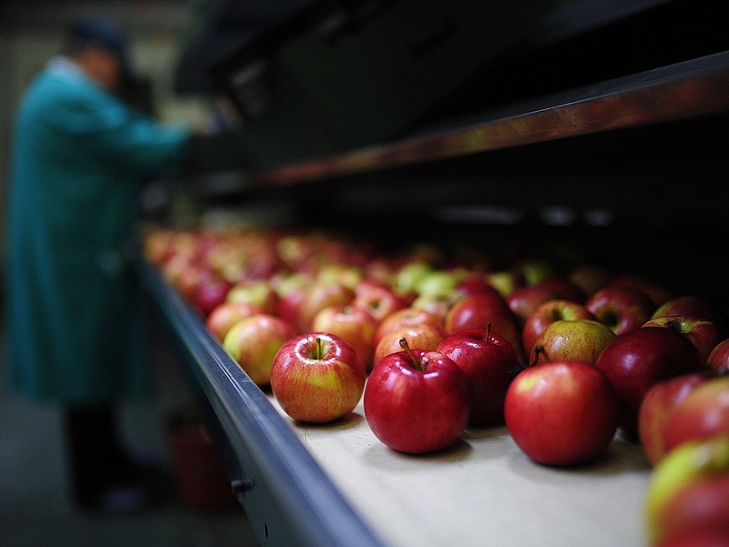 Milliárdokat ad az állam az almatermelőknek