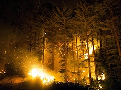 Erdőtűz pusztít Spanyolországban