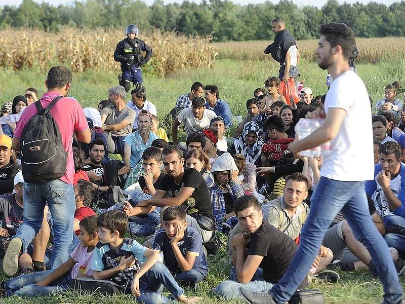 Cseh segítség jön a magyarországi menekülteknek