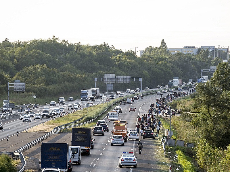 Autókonvoj jön Bécsből a bevándorlókért