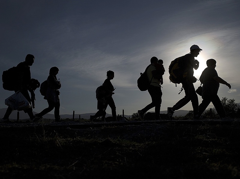 Megtalálták a menekültek a horvát-magyar határt - rendőri segítséggel 