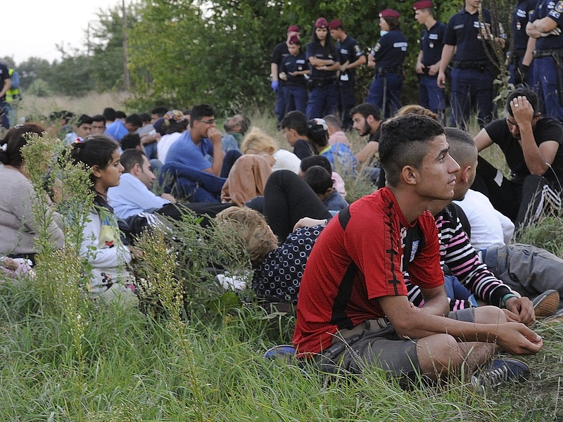 Magyarország az élen - Ennyi menedékkérelmet adtak be