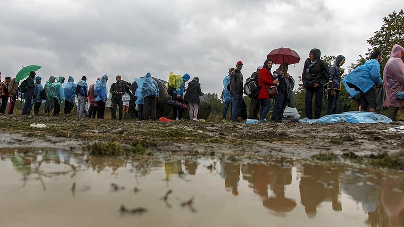 Kiderült, hány menekültet küldenének vissza Magyarországra?