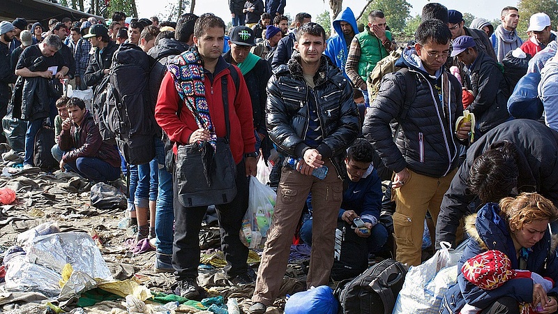 Menekültek: meghökkentő német adatok kerültek napvilágra