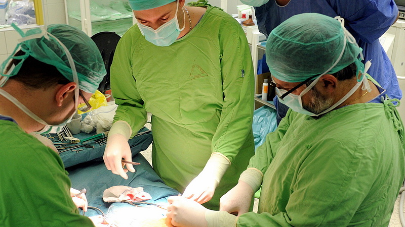 Megszűnik Budapesten a sebészeti ügyelet - az OMSZ cáfol