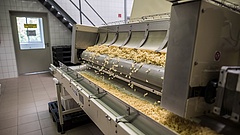 Óriási tésztagyártóba szállt be a magyar milliárdos