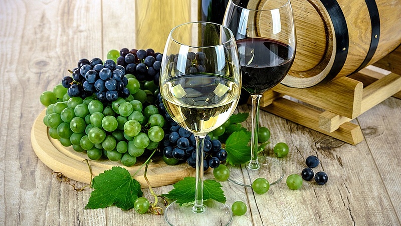 Megugrott a világ bortermelése - taroltak az olaszok, a franciák és a spanyolok