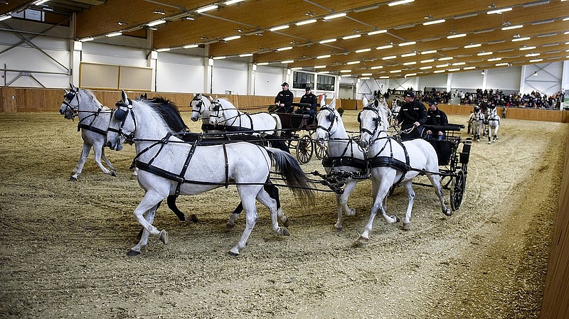Orbán: szeretjük a lovainkat