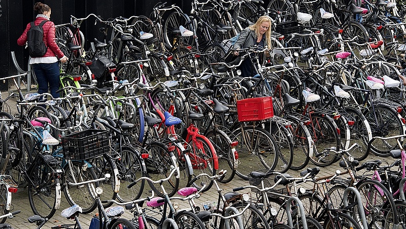 Betiltják a mobiltelefon kerékpározás közbeni használatát Hollandiában