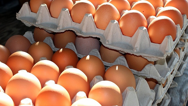 Kitört a tojásháború