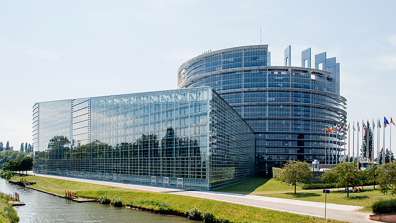Keményebben fellépne az Európai Parlament a nemi erőszak ellen