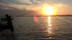 Több ponton módosul a Balaton horgászrendje