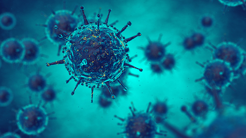 Új halálos vírus jelent meg Ázsiában