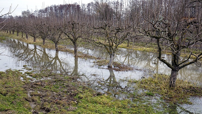 Esőből is megárt a sok, a Dunántúlon már ott is víz van, ahol nem kellene