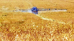 Közeledik a ciprusi és a magyar mezőgazdaság