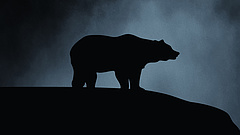 Már az orosz medve sem a régi