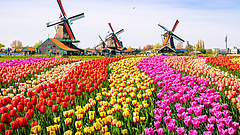 Amszterdamnak elege lett a turistákból