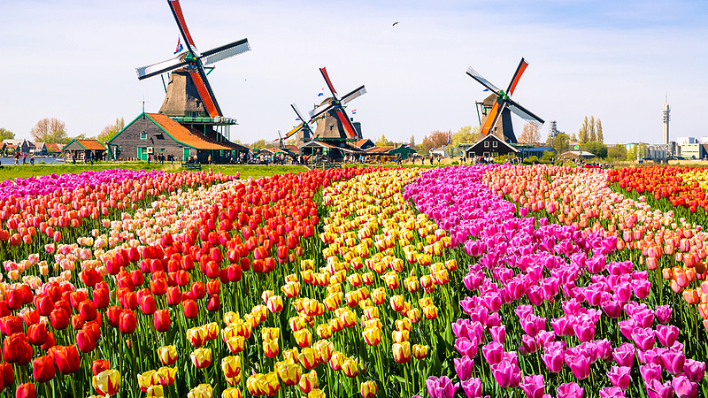 Amszterdamban is odacsapnak az idegesítő turistáknak