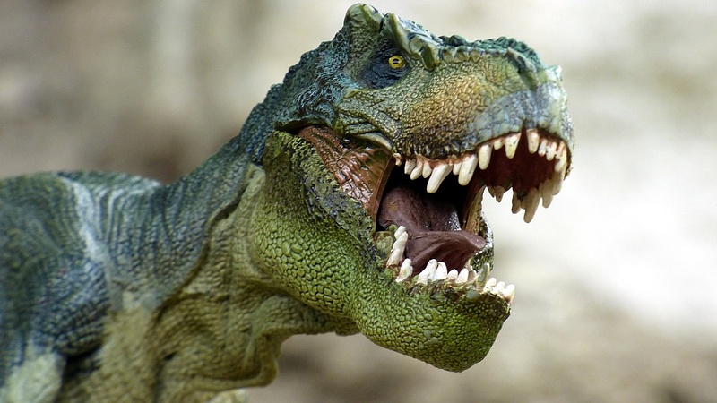 Csúcsragadozó dinoszauruszfajt fedeztek fel Üzbegisztánban