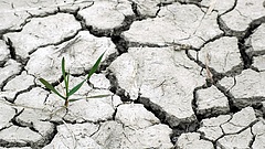 A klímaváltozás miatt aggódik az agrárminisztérium