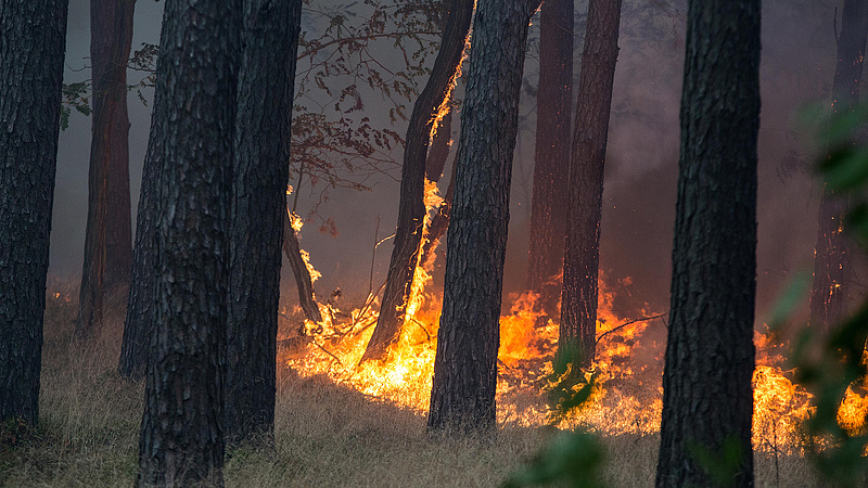 Lángol az erdő a magyar határ közelében