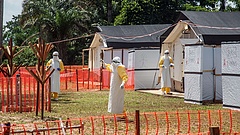 Riadót kellene fújni az Ebola miatt - nagyobb a baj, mint gondolnánk