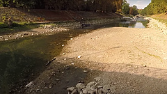Kiszáradt egy Duna-ág (Videóval)