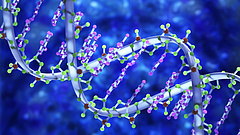 DNS-vizsgálatos családfakutatás: figyelmeztetést adott ki a hatóság