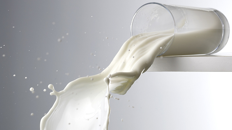 Szennyezett tejek az Aldi és a Lidl polcain - megszólalt a Nébih