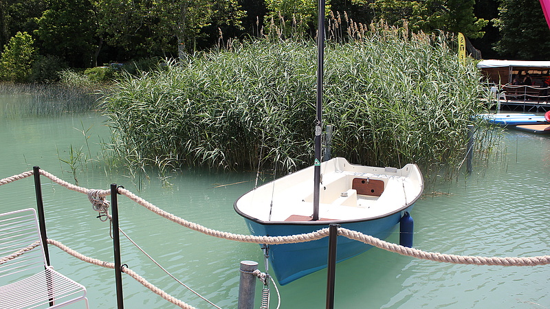 Bajba kerülhet a Balaton, sima fürdőmedencévé válhat a nádirtások miatt