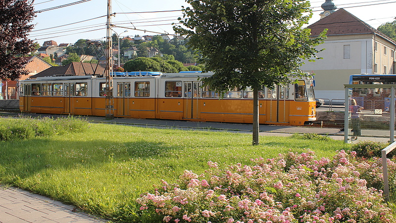 Rangsorolták a tömegközlekedési hálózatokat - Budapest nem lehet büszke