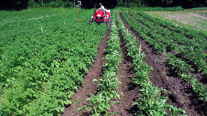 Dübörög a magyar mezőgazdaság 