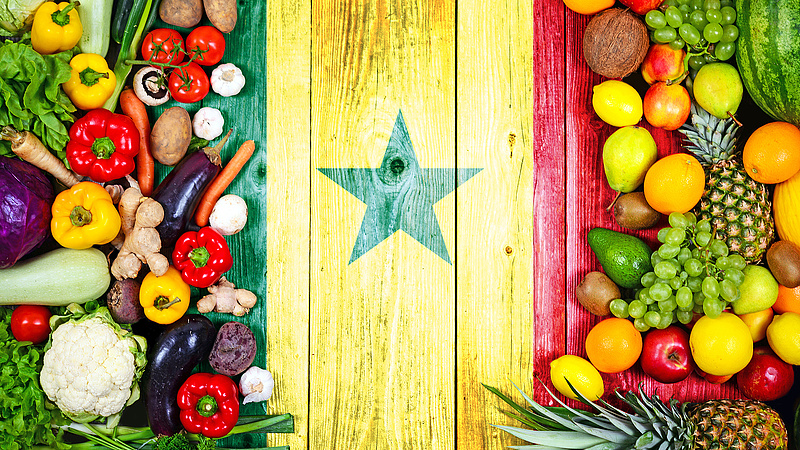 Egy afrikai agrárország: Szenegál