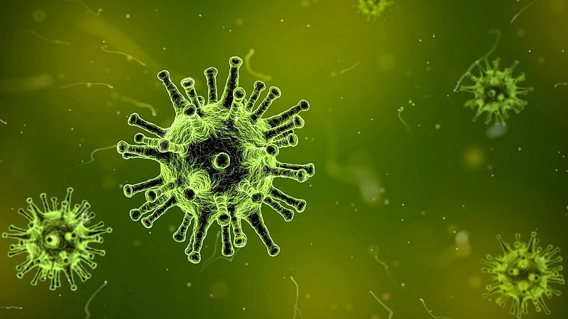 Koronavírus: akár minden ötödik embert megfertőzhet a világon