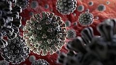 Koronavírus: aggasztó megállapítások sorát tették magyar kutatók 